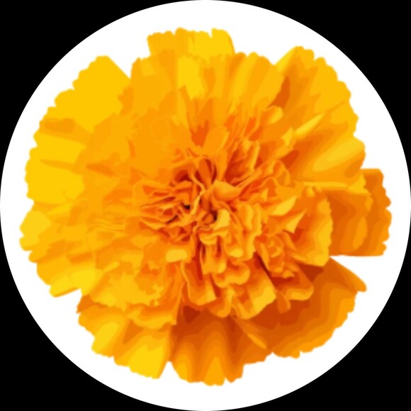 marigold_market